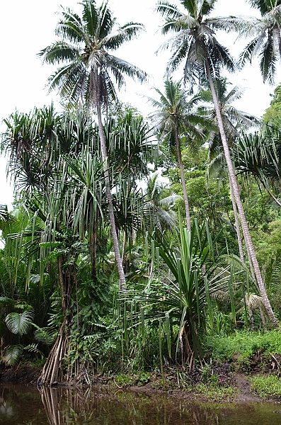 109_Papua_New_Guinea_Tufi.JPG