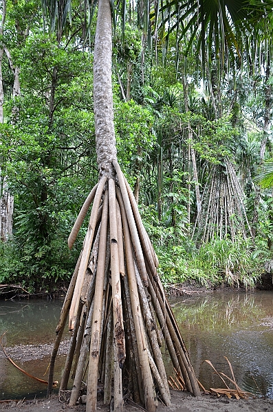 110_Papua_New_Guinea_Tufi.JPG