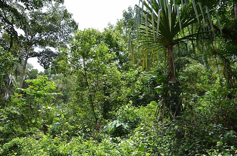 128_Papua_New_Guinea_Tufi.JPG