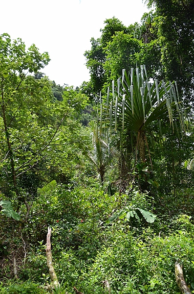 129_Papua_New_Guinea_Tufi.JPG