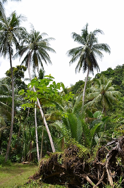 131_Papua_New_Guinea_Tufi.JPG
