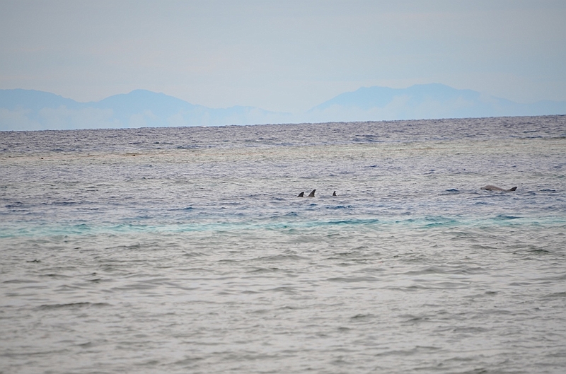 151_Papua_New_Guinea_Kitava_Island.JPG
