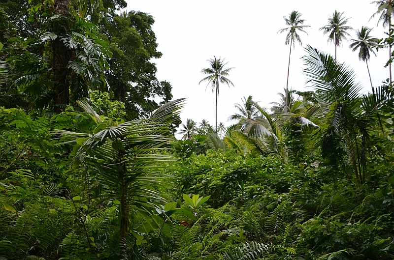 169_Papua_New_Guinea_Kitava_Island.JPG