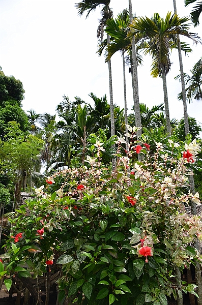 185_Papua_New_Guinea_Kitava_Island.JPG