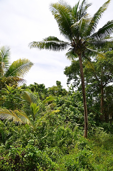 196_Papua_New_Guinea_Kitava_Island.JPG