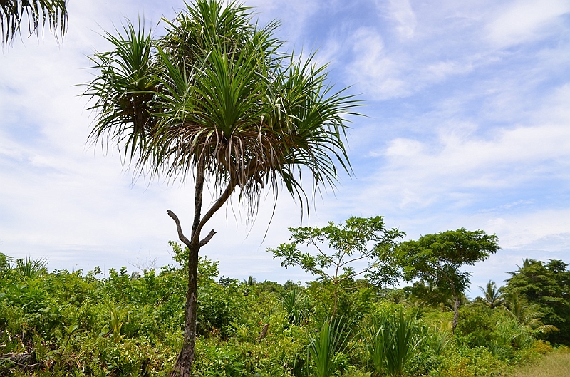 197_Papua_New_Guinea_Kitava_Island.JPG