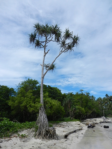 212_Papua_New_Guinea_Kamoa_Beach.JPG - 