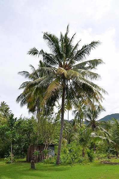 262_Papua_New_Guinea_Rabaul.JPG