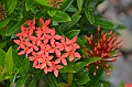 038_Papua_New_Guinea_Alotau