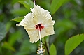 039_Papua_New_Guinea_Alotau