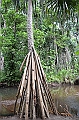 110_Papua_New_Guinea_Tufi