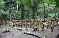 113_Papua_New_Guinea_Tufi