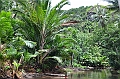 127_Papua_New_Guinea_Tufi