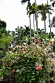 185_Papua_New_Guinea_Kitava_Island
