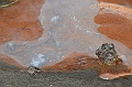 249_Papua_New_Guinea_Rabaul