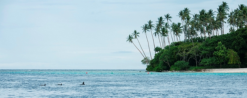 200_Oceania_Best_of_by_Ponant.jpg