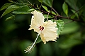 030_Oceania_Best_of_by_Ponant