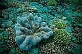 069_Oceania_Best_of_by_Ponant
