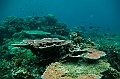 072_Oceania_Best_of_by_Ponant