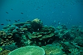073_Oceania_Best_of_by_Ponant