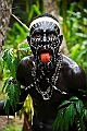 104_Oceania_Best_of_by_Ponant