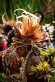 119_Oceania_Best_of_by_Ponant