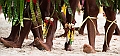174_Oceania_Best_of_by_Ponant