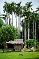 191_Oceania_Best_of_by_Ponant