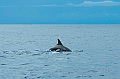 199_Oceania_Best_of_by_Ponant