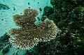 206_Oceania_Best_of_by_Ponant
