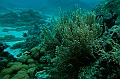 208_Oceania_Best_of_by_Ponant