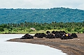 284_Oceania_Best_of_by_Ponant