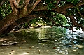 315_Oceania_Best_of_by_Ponant