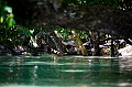 317_Oceania_Best_of_by_Ponant