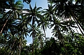 347_Oceania_Best_of_by_Ponant