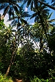 360_Oceania_Best_of_by_Ponant
