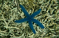 364_Oceania_Best_of_by_Ponant