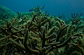 367_Oceania_Best_of_by_Ponant