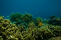 368_Oceania_Best_of_by_Ponant