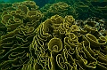 369_Oceania_Best_of_by_Ponant