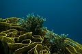 370_Oceania_Best_of_by_Ponant