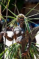 414_Oceania_Best_of_by_Ponant