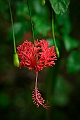 537_Oceania_Best_of_by_Ponant