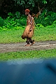 546_Oceania_Best_of_by_Ponant