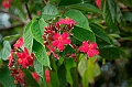 570_Oceania_Best_of_by_Ponant