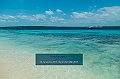590_Oceania_Best_of_by_Ponant