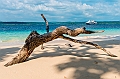 594_Oceania_Best_of_by_Ponant