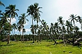 596_Oceania_Best_of_by_Ponant