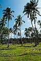 597_Oceania_Best_of_by_Ponant