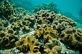 629_Oceania_Best_of_by_Ponant